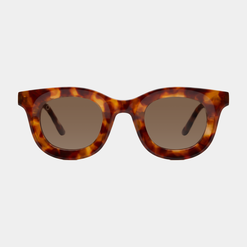 XAVI // TORTOISE